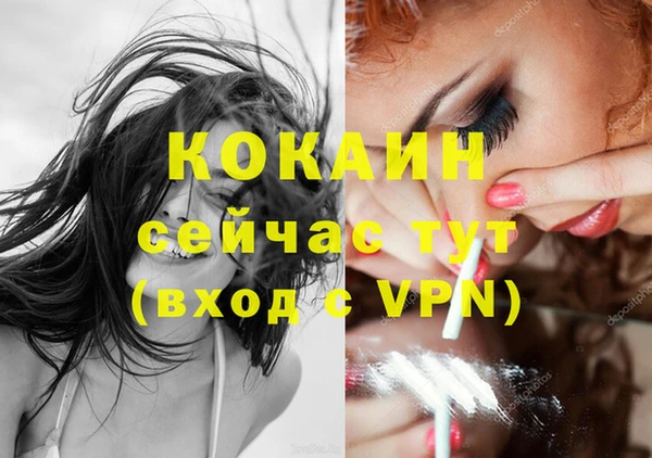 дживик Белоозёрский
