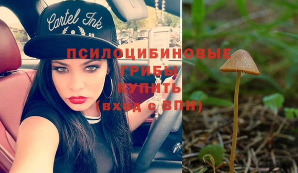 MDMA Белокуриха
