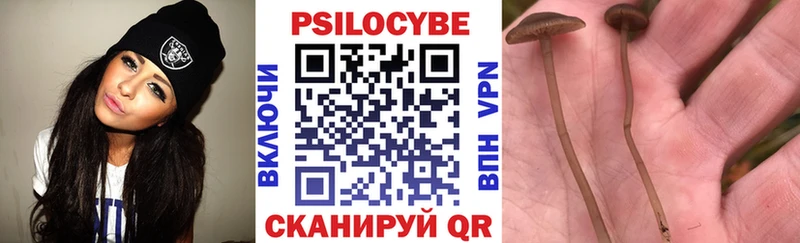 Галлюциногенные грибы Psilocybine cubensis  Вуктыл 